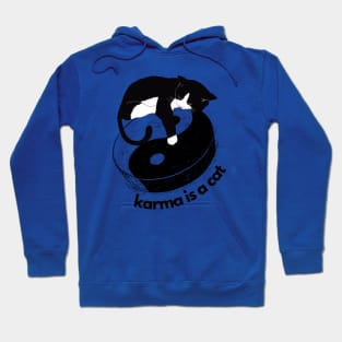 karma is a cat Hoodie